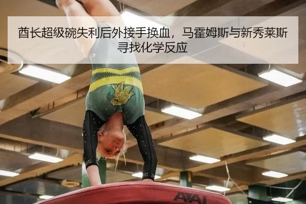 酋长超级碗失利后外接手换血，马霍姆斯与新秀莱斯寻找化学反应